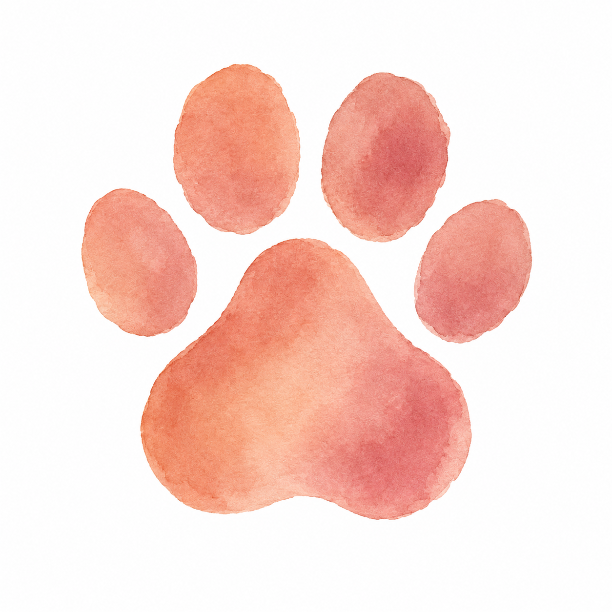 PawsLetter