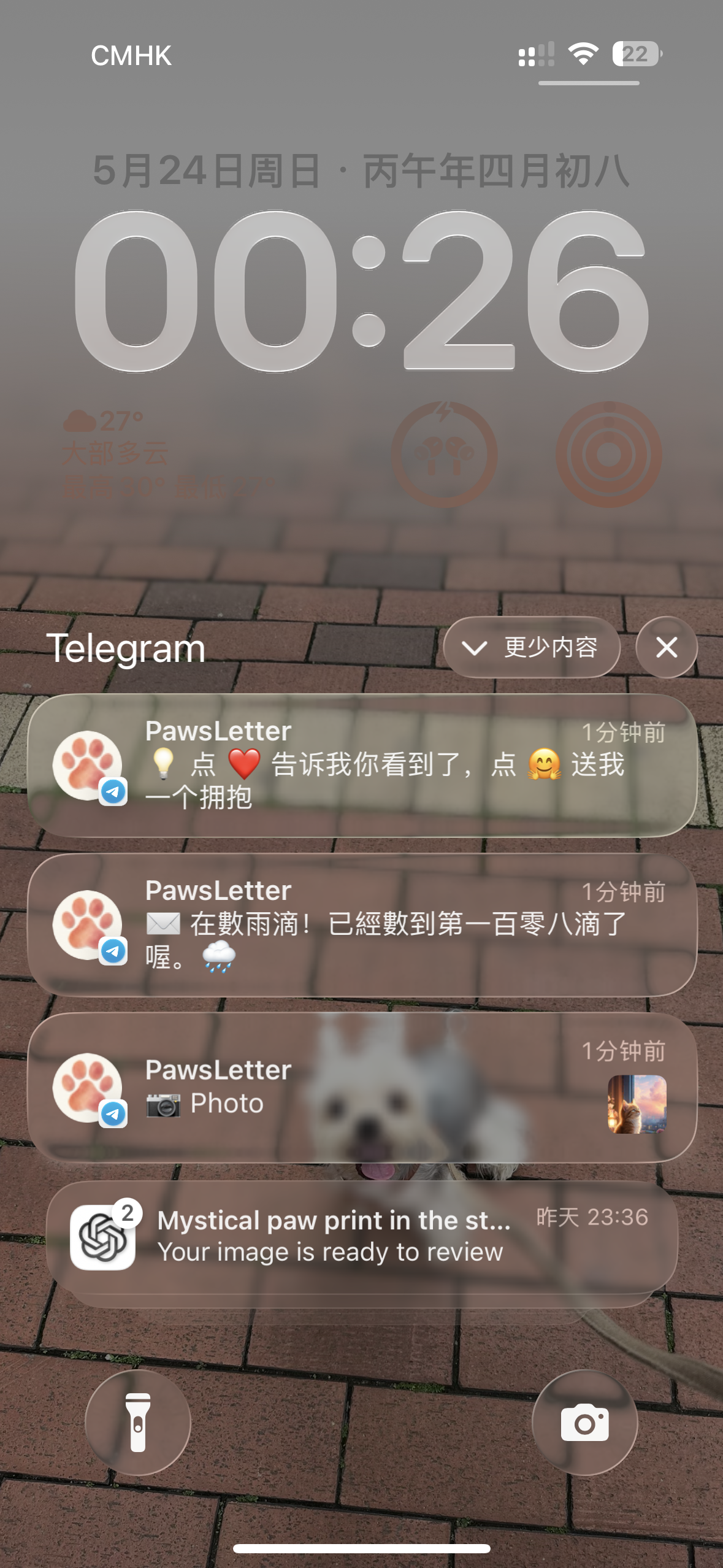 PawsLetter 的 iOS 推播通知