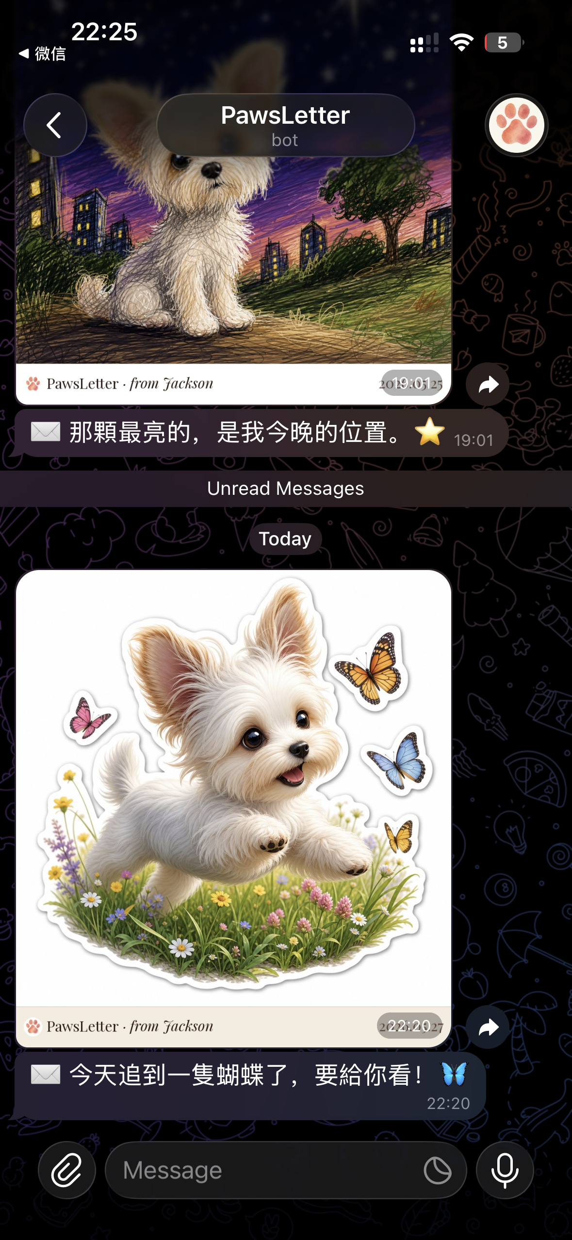 PawsLetter 在 Telegram 裡的聊天畫面